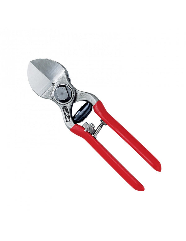 Ausonia 31110 Škarje za obrezovanje sadnega drevja