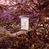 Zippo vžigalnik 49486 Cherry Blossoms