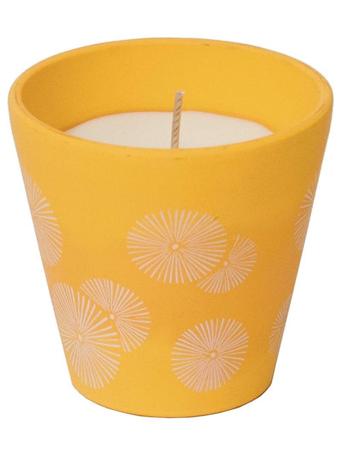 Roura 340229.085 Citronela Verbena v keramični posodi